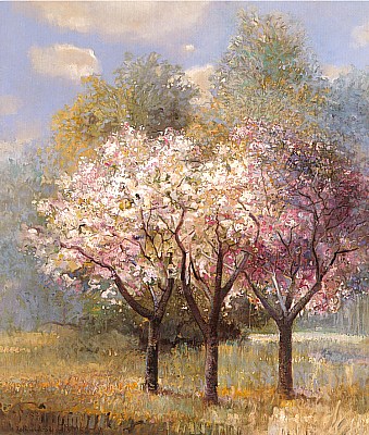 Spring blossoms