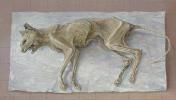 De kat van Muybridge