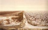 Friese sloot / Eerste sneeuw 