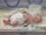 Baby Marieke