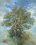 Feestboom plus treintje